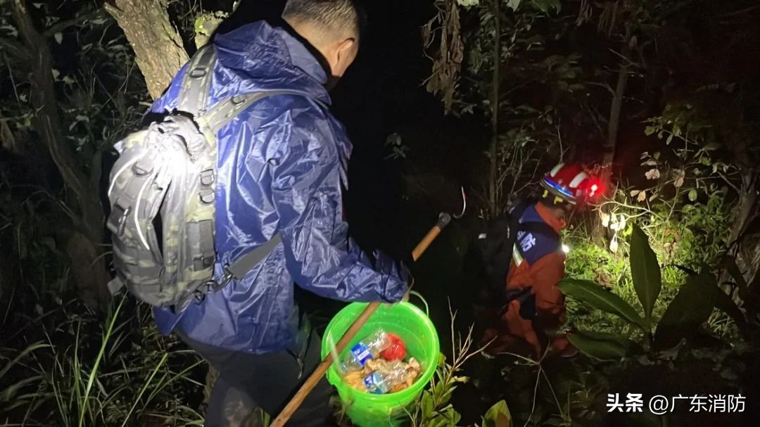 在深山老林捡菌子,夫妻深山捡菌子