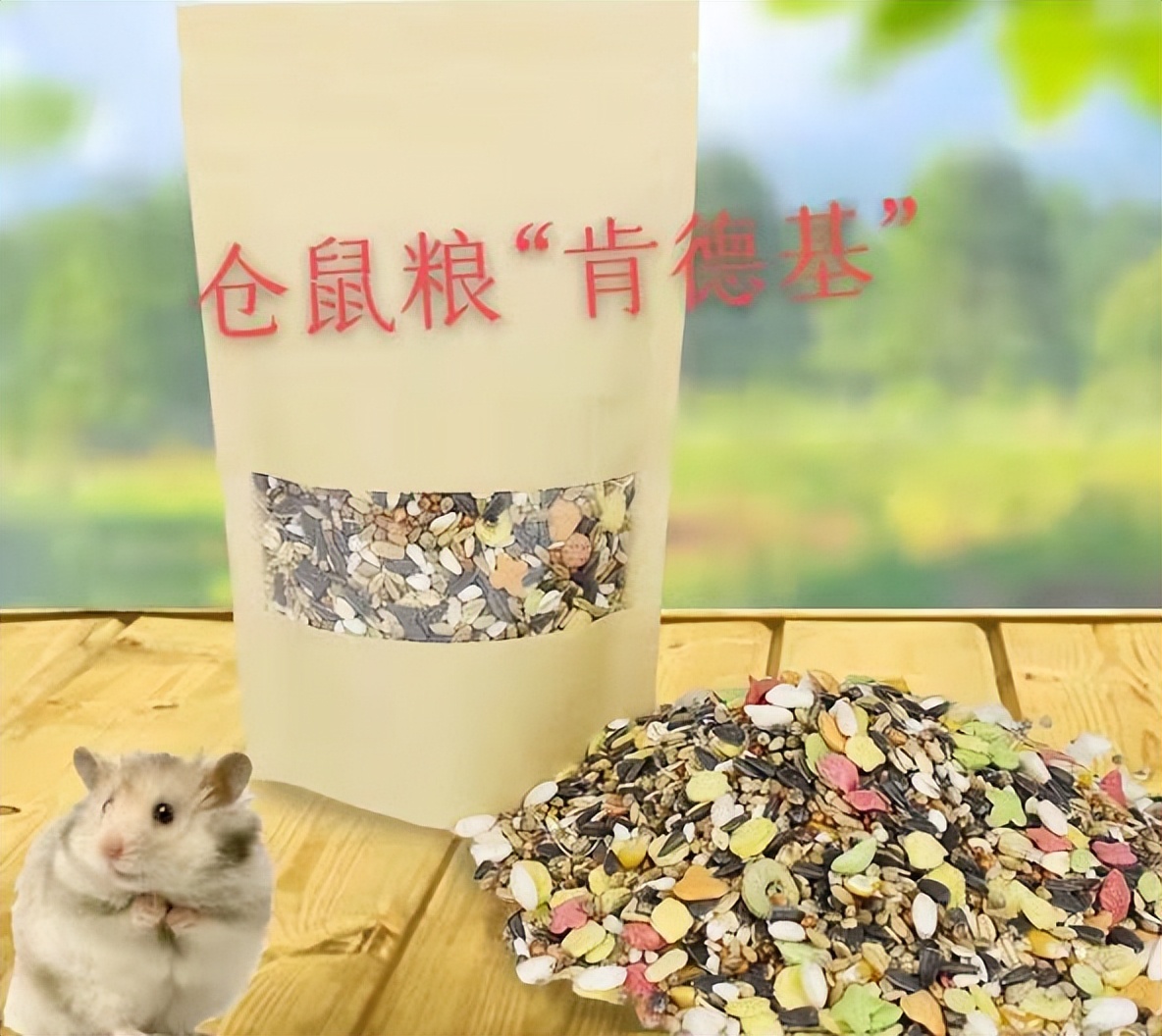 00后创业租别墅,00后创业开农家乐