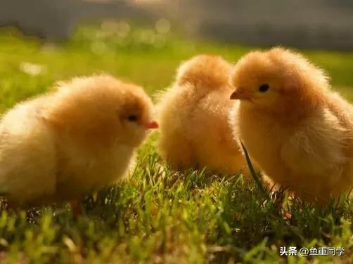 关于十月十五的谚语,农历十月谚语你知道多少呢