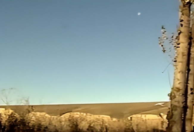 云南农村小伙捡到一只小猫,小伙捡到一只活体小猫