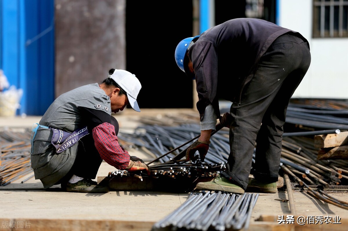 天冷了农村做什么生意赚钱,农民生意做什么赚钱