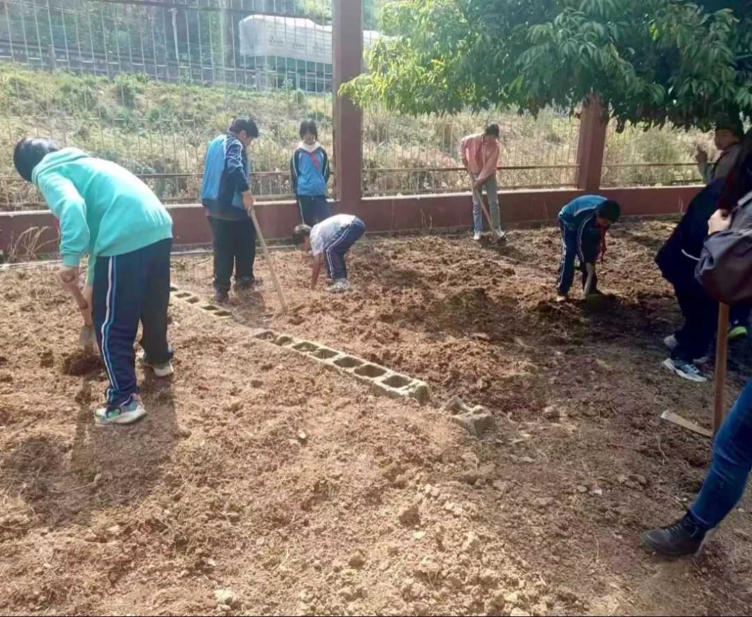 绿美太邑蔬香校园