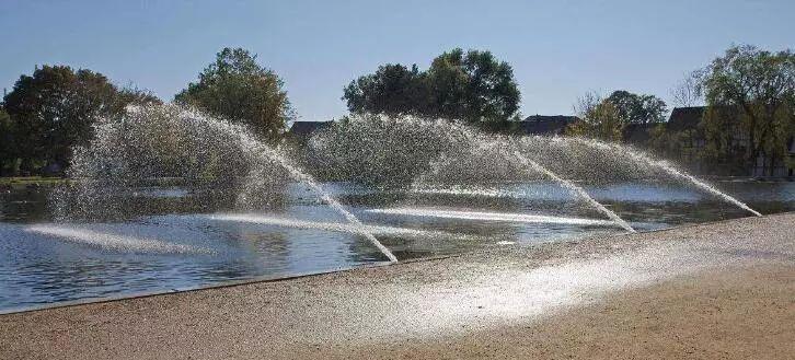 关于性的世界纪录，看完秒变老司机