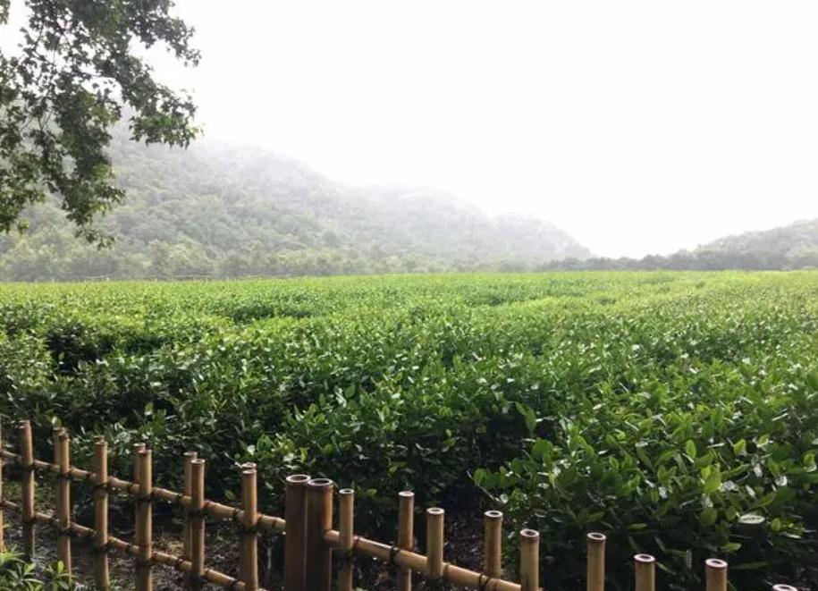 7月特价机票20元,广州出发机票低至1.4折