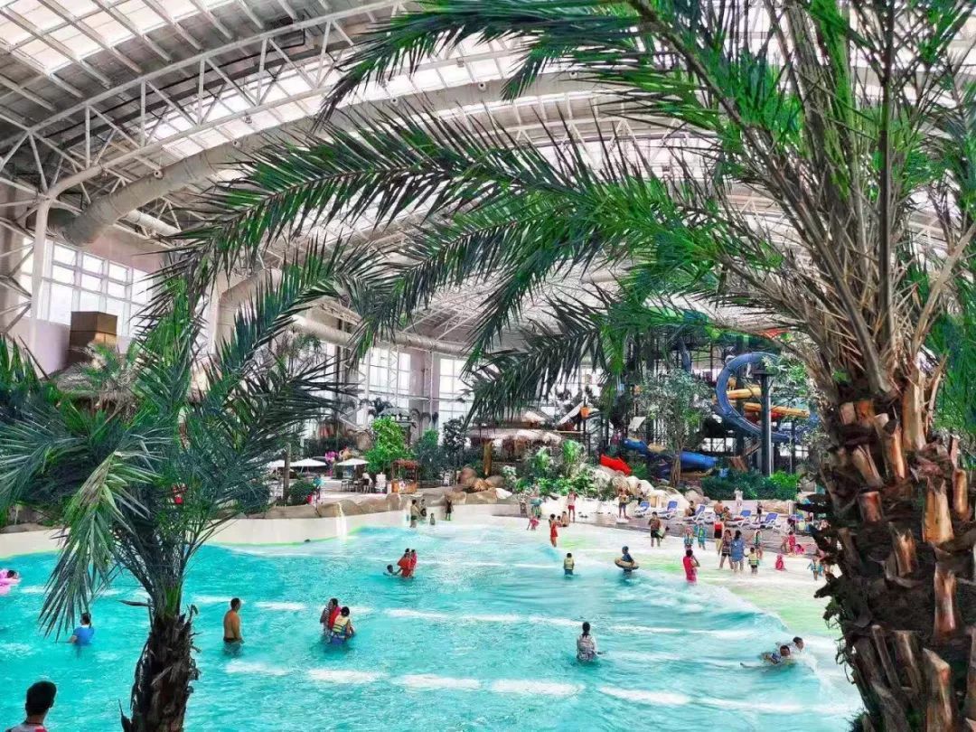 江浙沪附近避暑民宿,夏天莫干山性价比民宿推荐