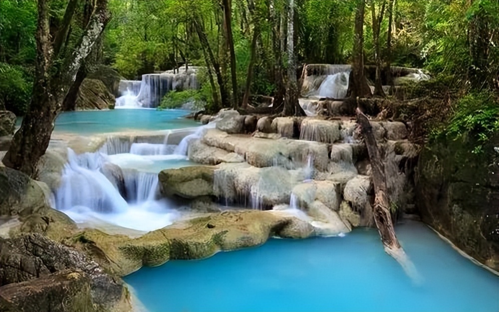 四年级期末作文必考我的乐园,我的乐园作文四年级400字范文菜地