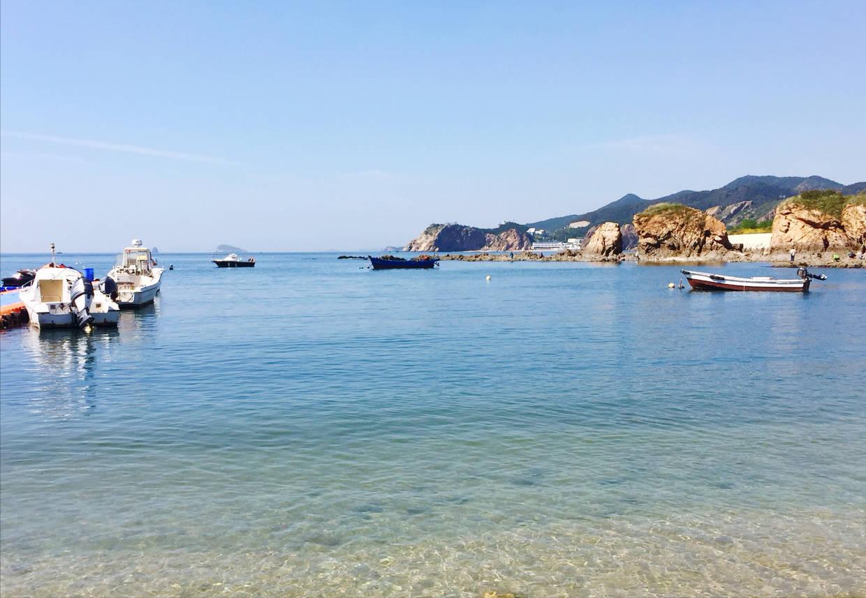 大连渔业发展,大连有多少种鱼类