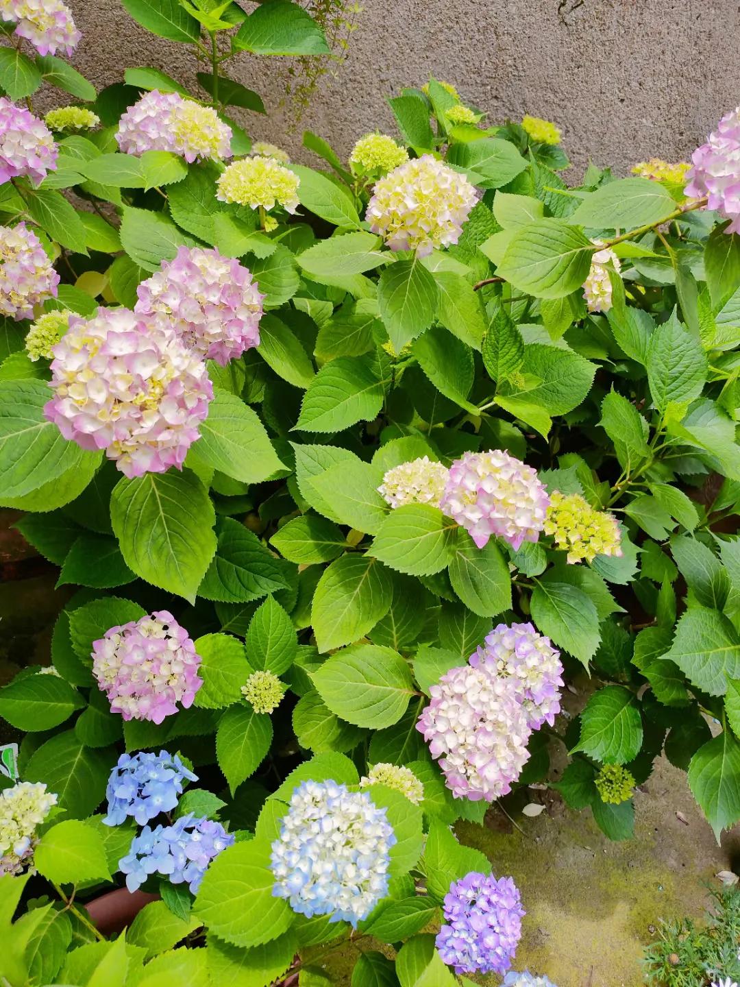 五菱缤果2024价格,五菱缤果落地价是多少