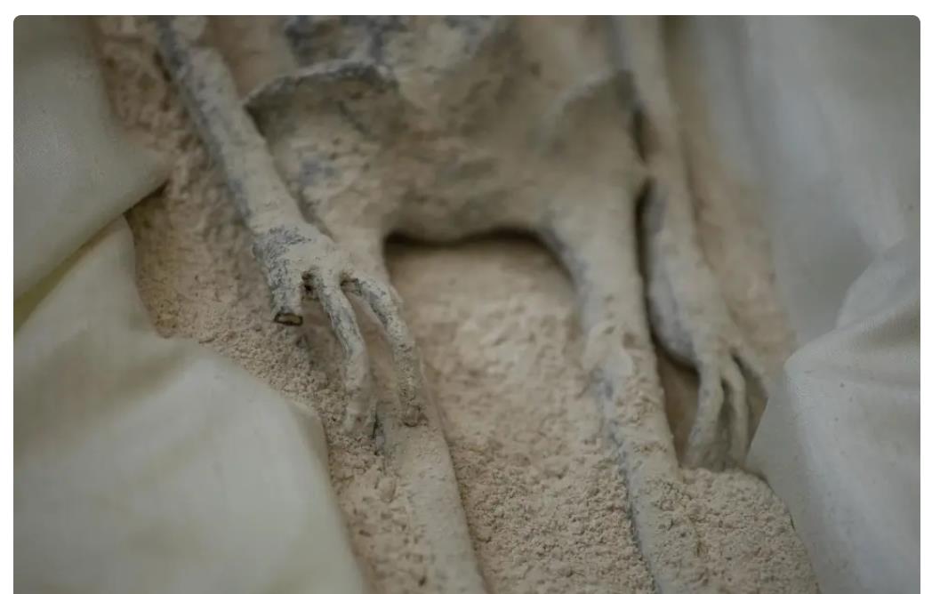 墨西哥外星遗骸引质疑,墨西哥“外星遗骸”引争议