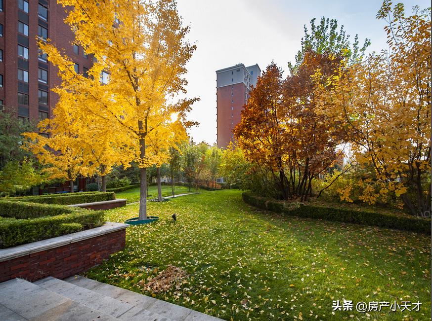 北京北苑最值得买的房子,北京北苑地区有哪些小区