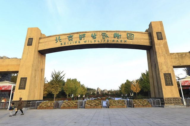 北京大兴室内景点,北京大兴自然景观