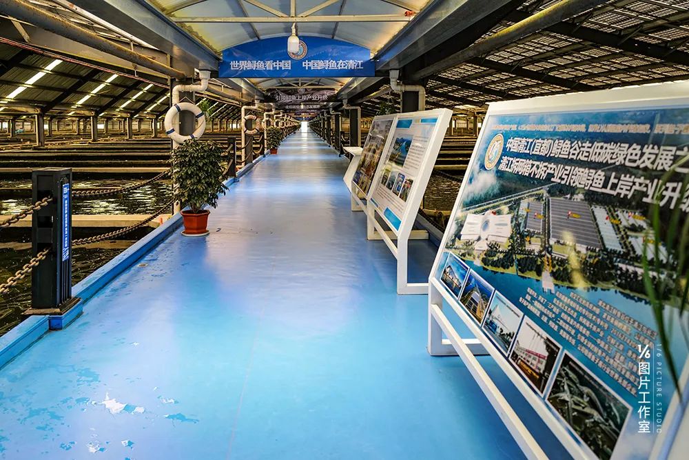 李忠文旅,宜昌市李忠