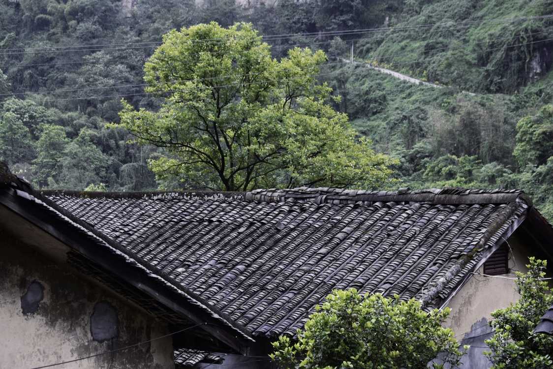 乐山异国风情打卡新去处,乐山游玩攻略及人文风情