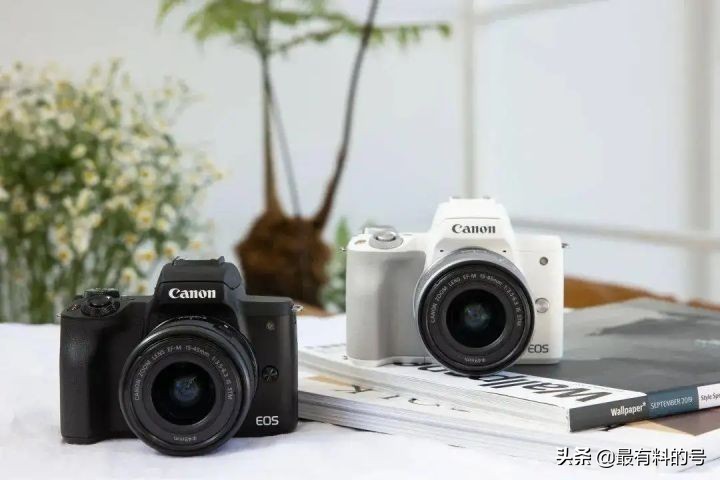 佳能尼康索尼三款微单相机哪个好,佳能与尼康全画幅微单比较哪个好