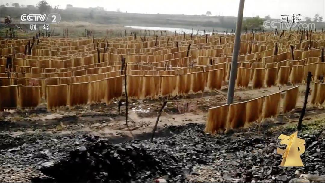 今年的315都有哪些事,2020315都讲了什么