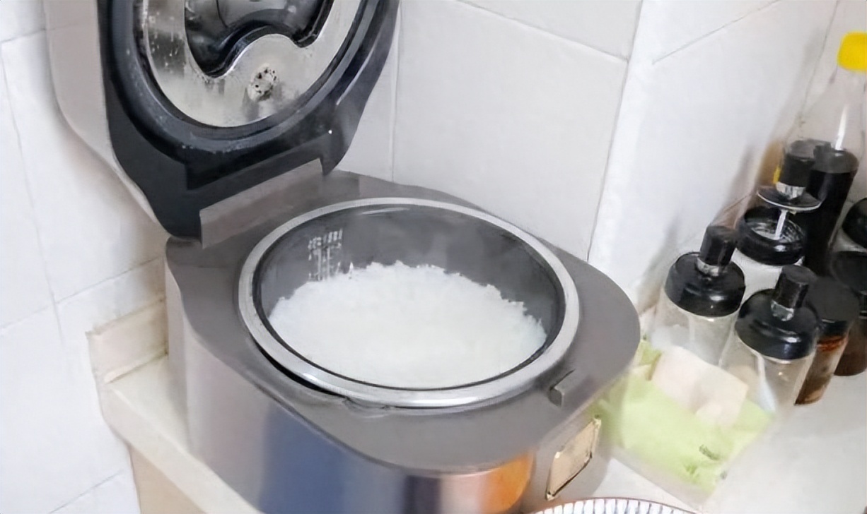 电饭煲贵的和便宜的有什么区别,100的电饭煲和500的电饭煲区别