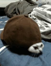 女朋友过生日送七夕礼物,女朋友送我生日礼物感动哭了