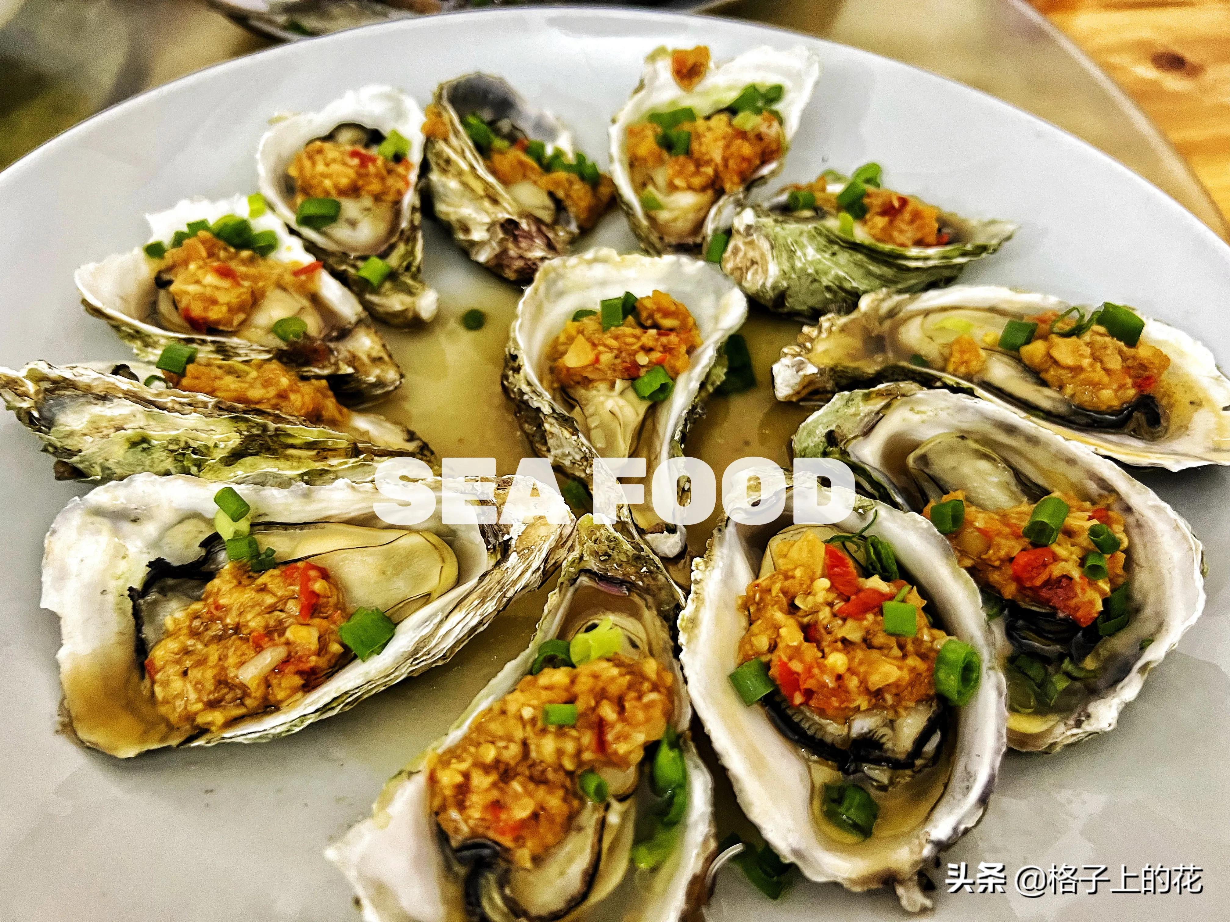 惠州怎么坐船出海旅游,惠州坐船上岛游玩攻略