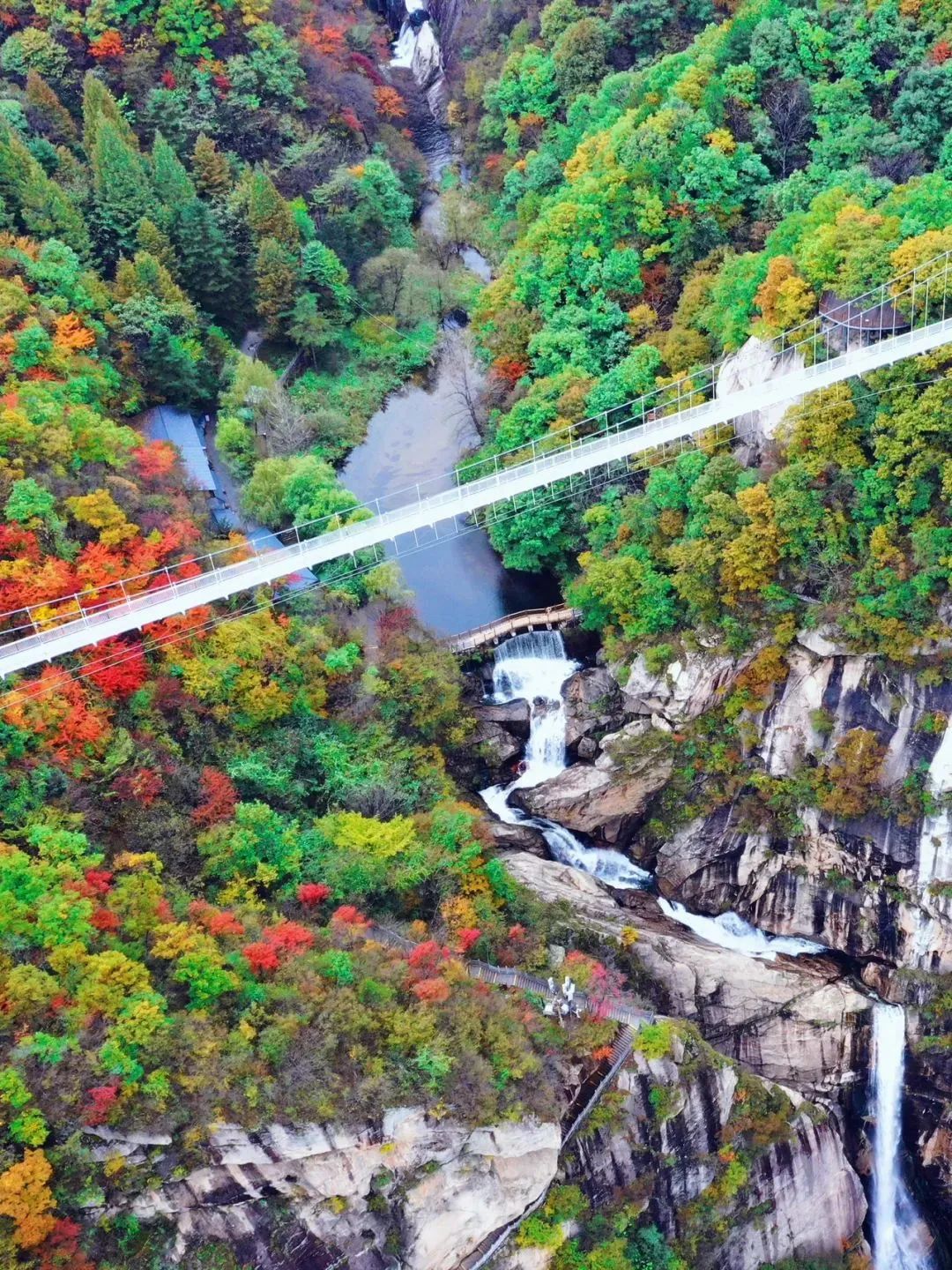 洛阳网红打卡地推荐,洛阳又一个网红打卡地