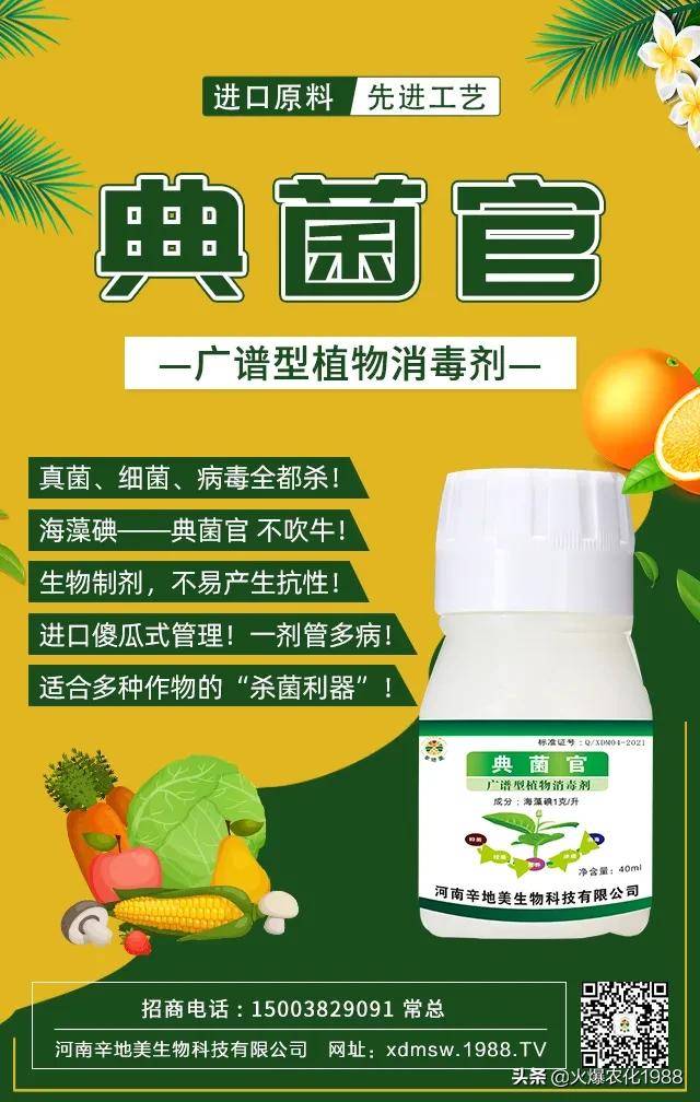 如何杀真菌细菌病毒,万能广谱杀菌剂所有病害一网打尽