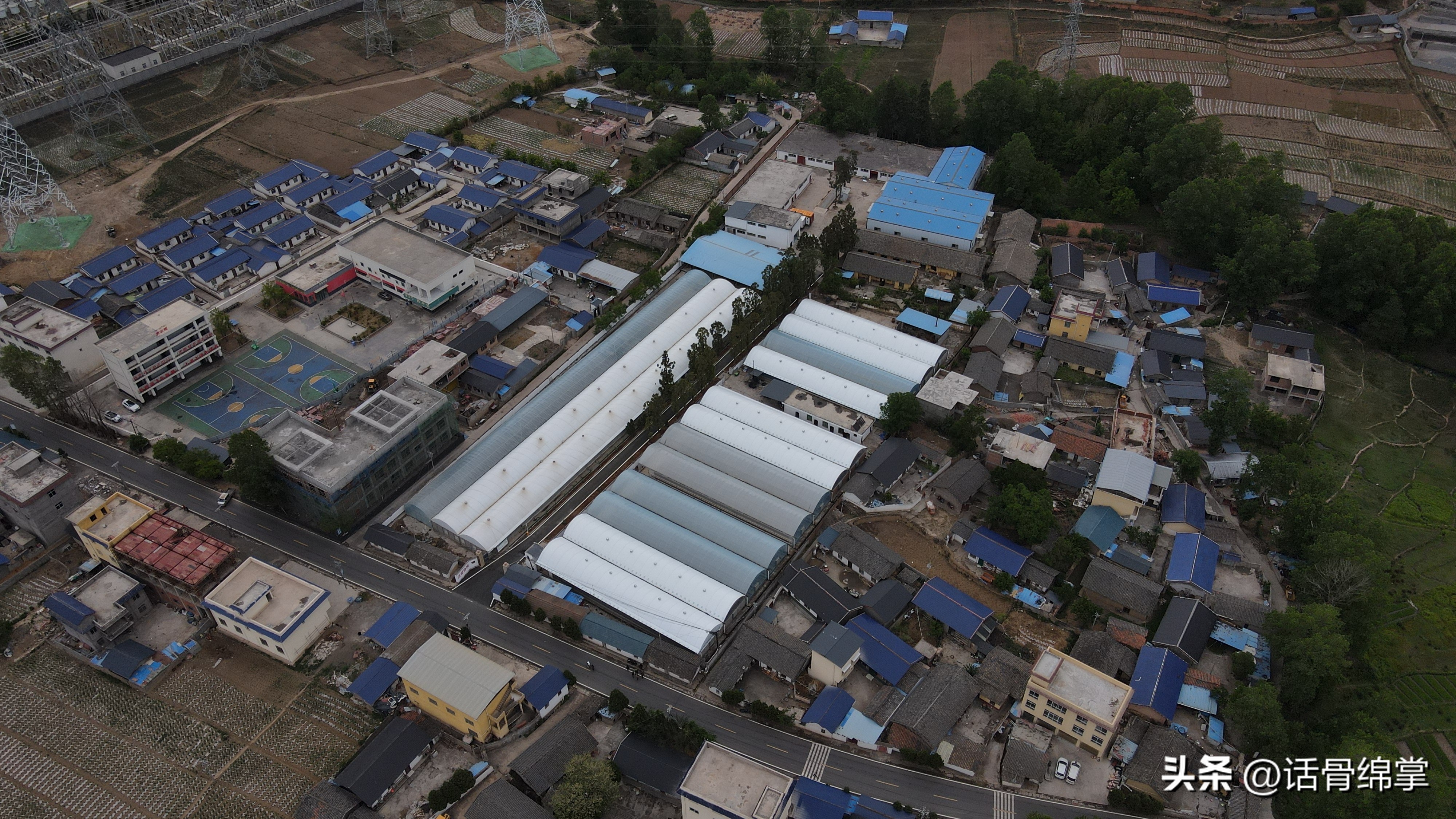 姹熸补骞虫鑱斿姩鍙戝睍,缁甸槼姹熸补鍗忓悓鍙戝睍