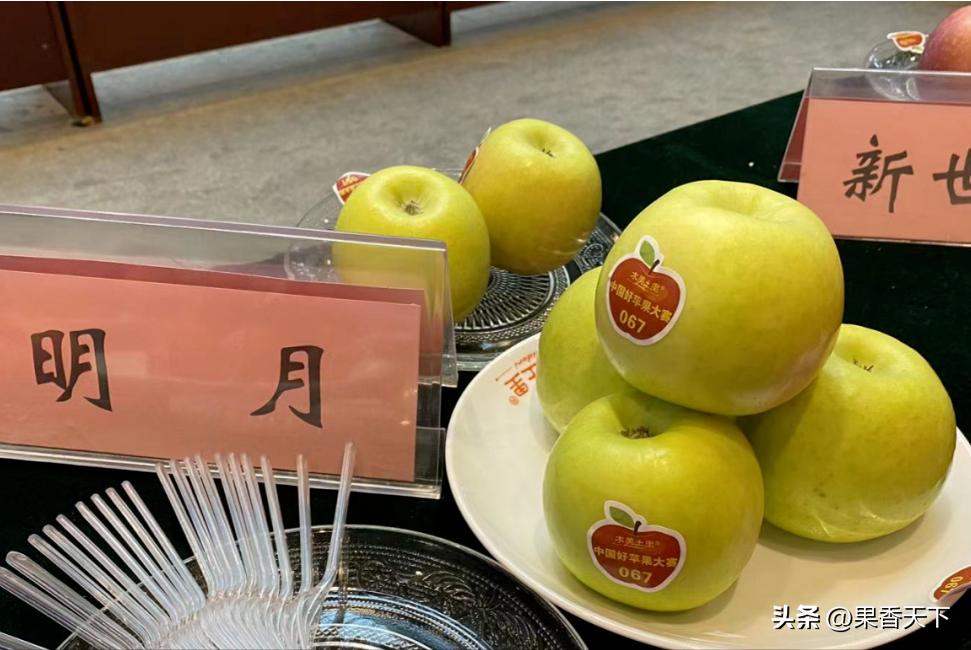 众成三号苹果新品种,最新最全苹果新品种
