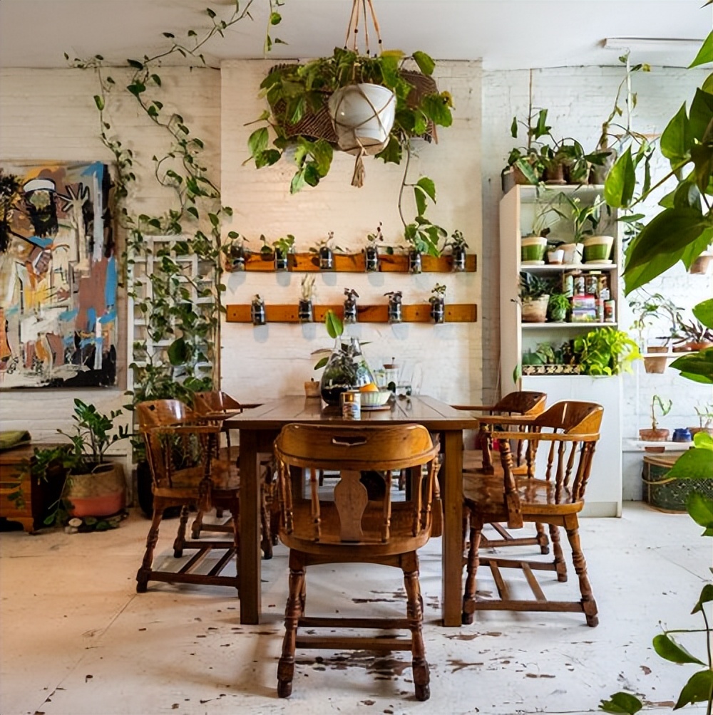 室内植物装饰推荐,室内植物装饰的选材和方法