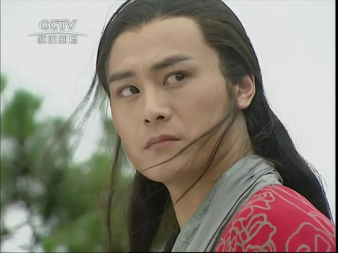 笑傲江湖葵花宝典和神功,笑傲江湖辟邪剑法真的自宫吗