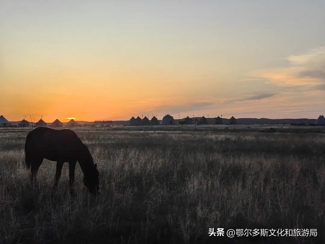 钟镇涛狂欢夜,钟镇涛来东港演出