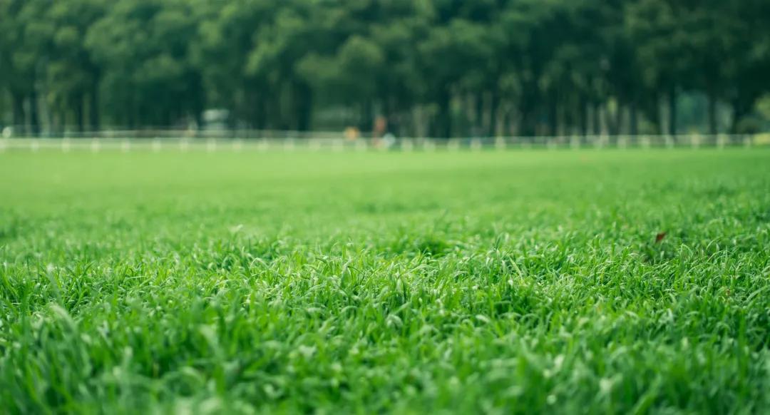郑州春节遛娃游玩排行榜前十名,郑州周末遛娃好去处室内