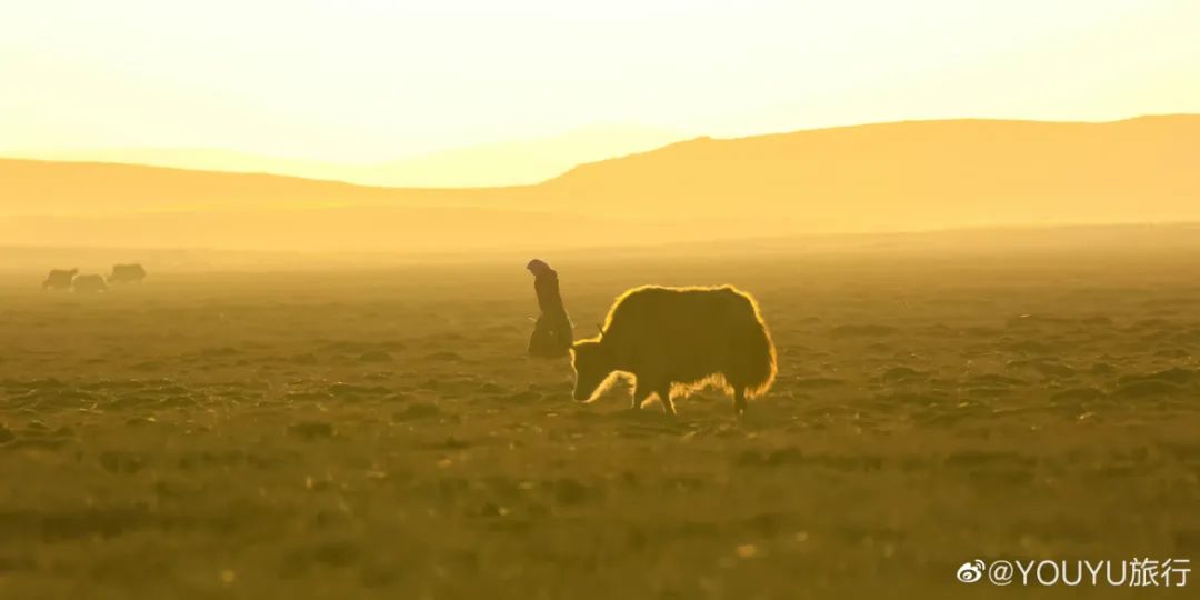 西藏小众旅行摄影,摄影必去的12个地方广州