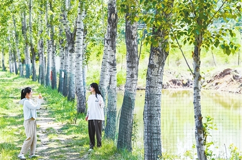 青年投身基层助力乡村振兴,人才扎根基层助力乡村振兴