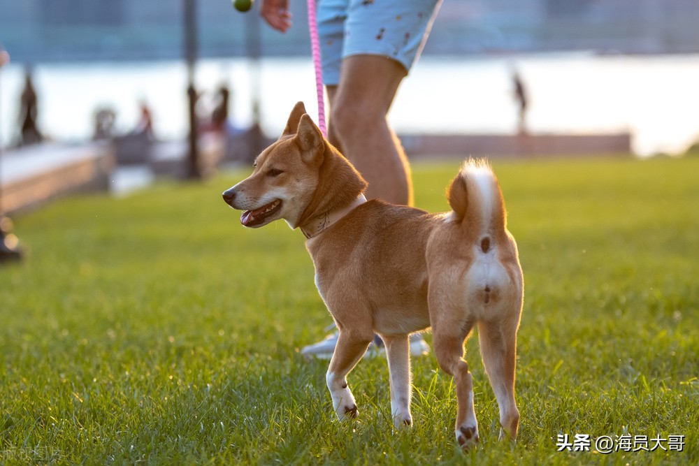 我，80后海员，西班牙比戈休假，发现西班牙跟媒体上报道的不一样