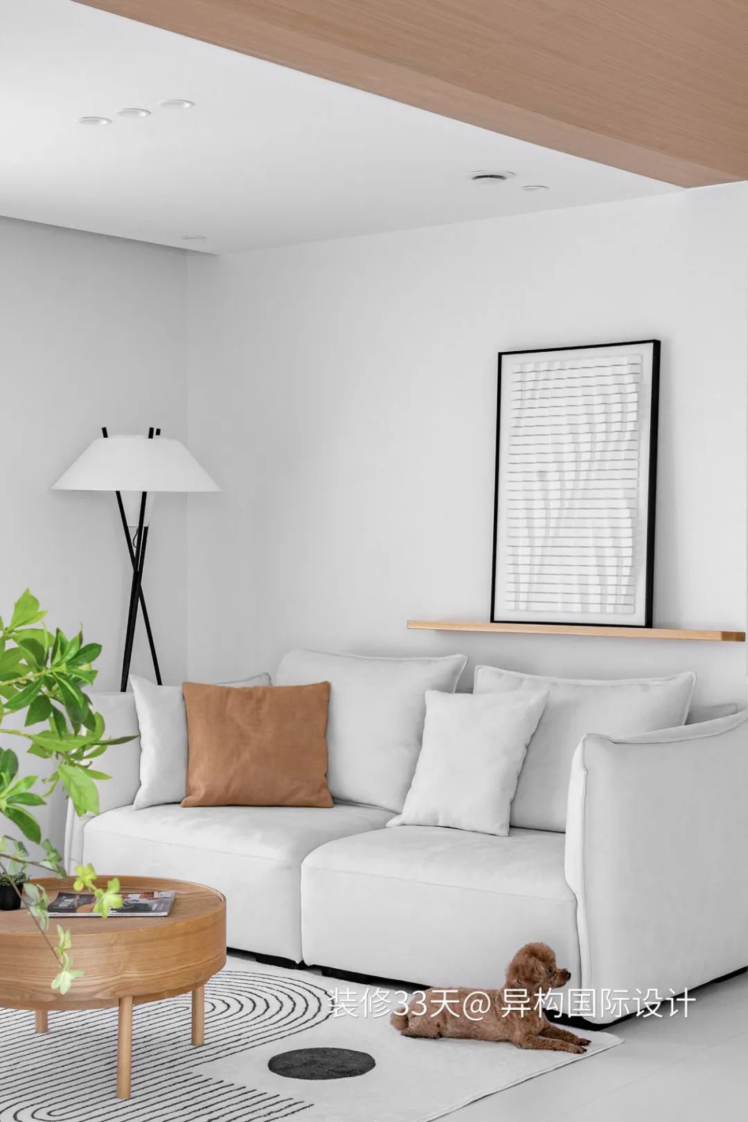 白色调的家,白色调家装风格