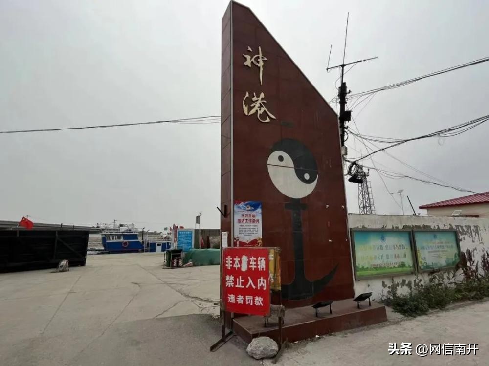 天津渔村出海,天津最后的小渔村能赶海吗