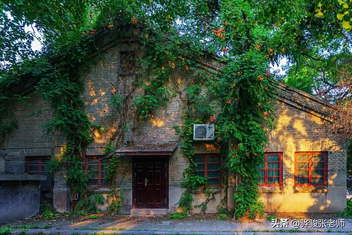 民办高校前十亮相，河南有两所并列第五名，能不能降低一点学费？