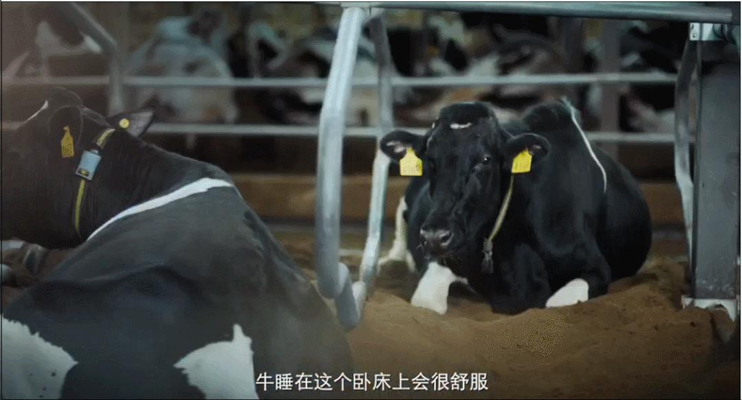 君乐宝最适合宝宝的奶粉,君乐宝最好的婴儿奶粉系列