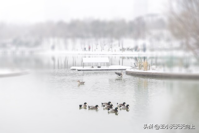 郑州市好玩的公园,郑州市周末大人小孩游玩好去处