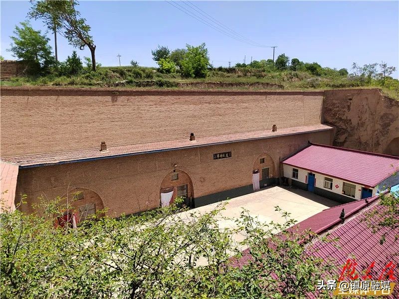 非常眼丨西野纵横战悦乐