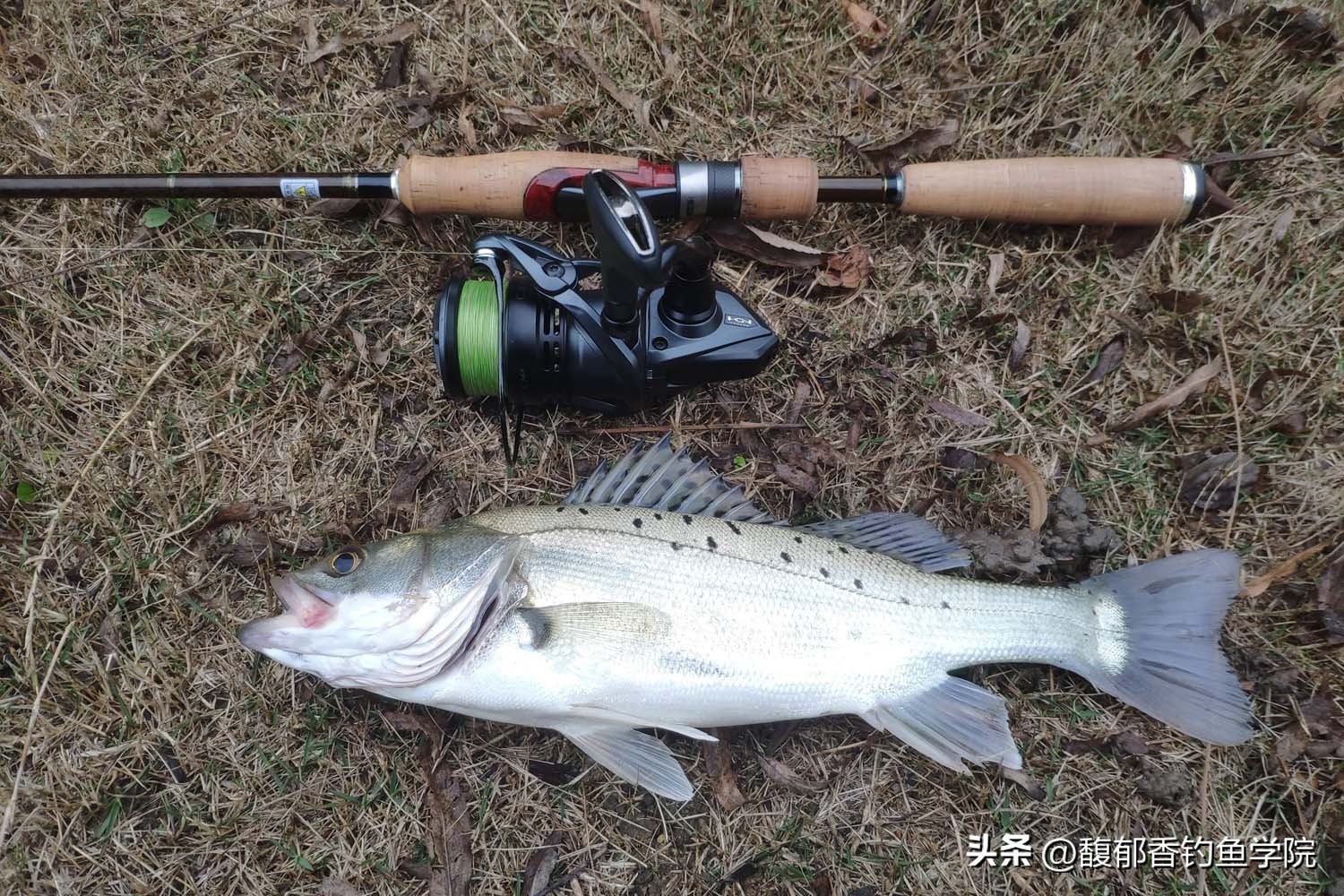 海钓钓鱼技巧新手入门,海钓初学者入门教程岸边钓法