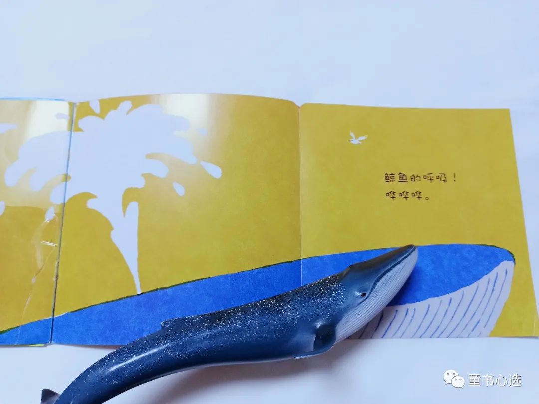 不知道怎么给宝宝做认识启蒙？这套趣味绘本值得给满分