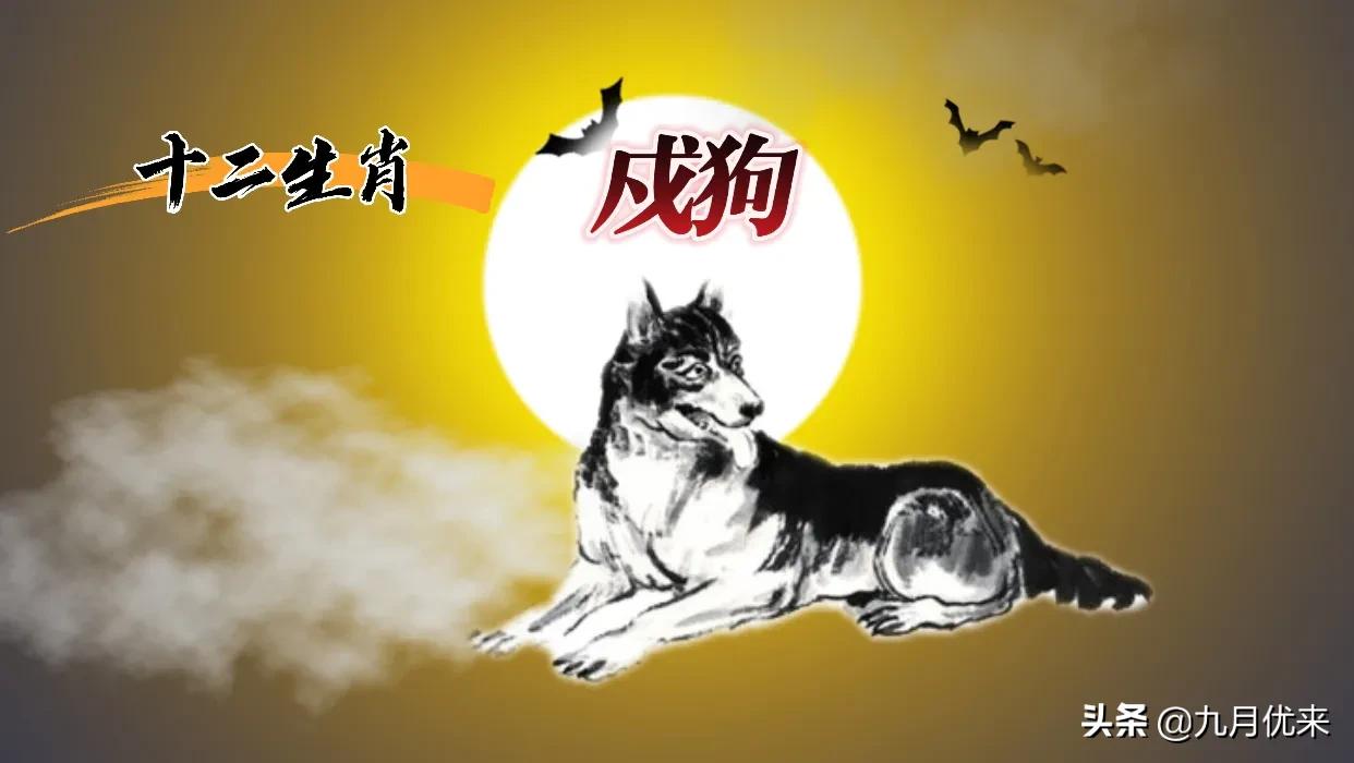 十二生肖的由来民间故事,民间故事十二生肖的来历缩写