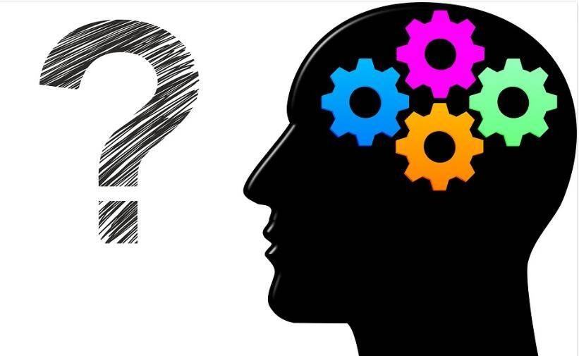 人类的大脑一直在进化,人类大脑不断进化