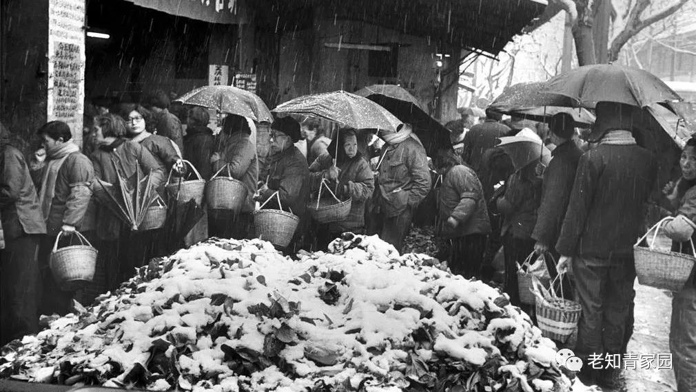 记录60年代真实中国生活,50年代百姓生活的真实影像