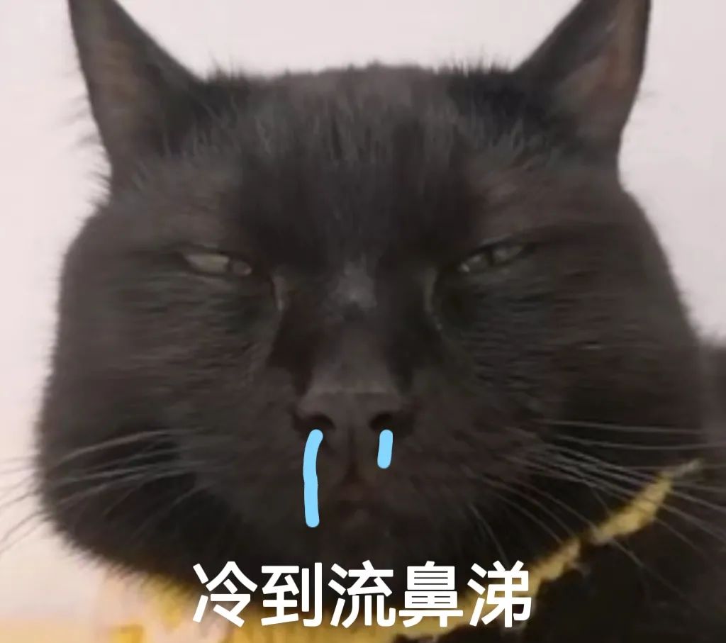 猫狗太臭了怎么办,为什么猫狗夏天不热