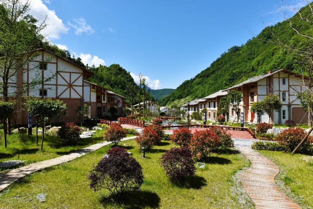 熊猫经济效应,吉利熊猫经济速度是多少