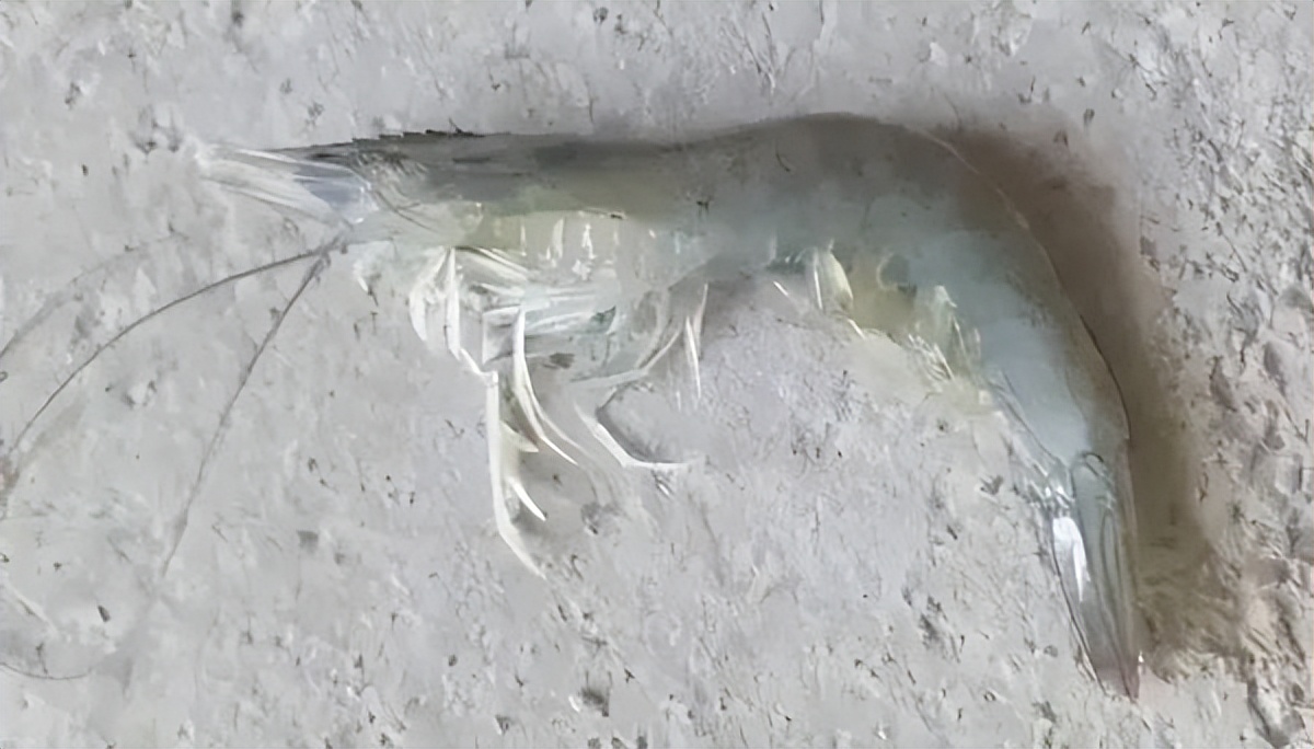 pH值过低危害,ph太低的危害