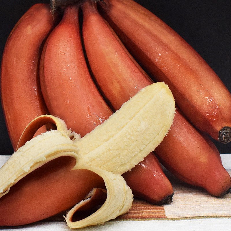 香蕉科普中国,香蕉生活常识大全集