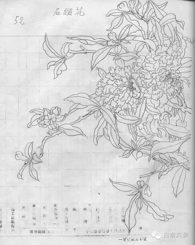 婆婆画画,婆婆画画教程