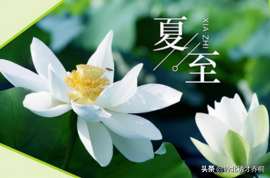 诗歌陕西方言改编,西安童谣方言版